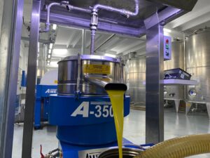 Olive Oil Milling: The Olive Season